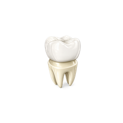 Prosthodontics